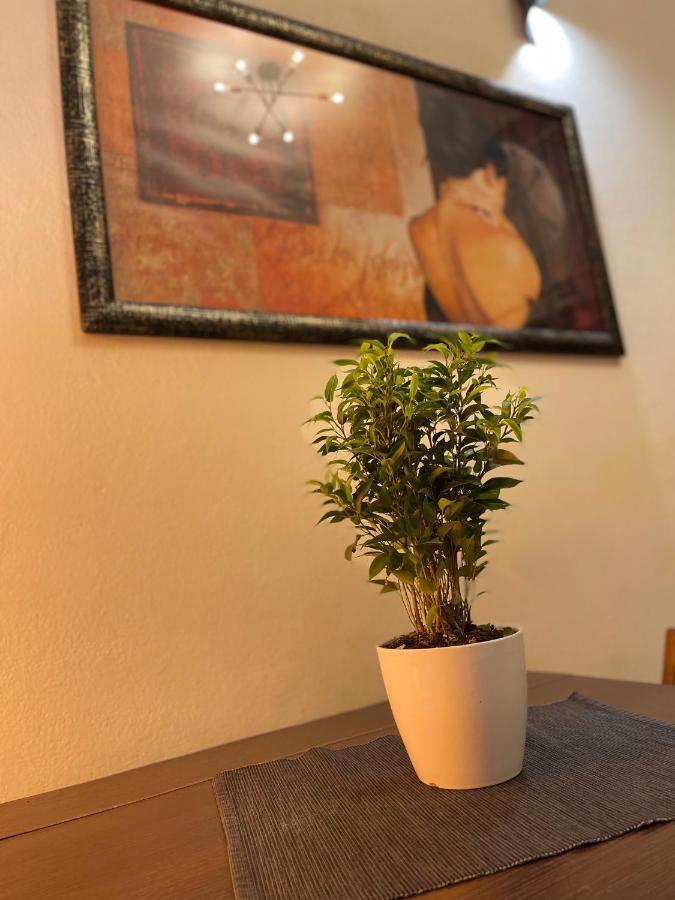 ליבורנו Romeo Apartment מראה חיצוני תמונה
